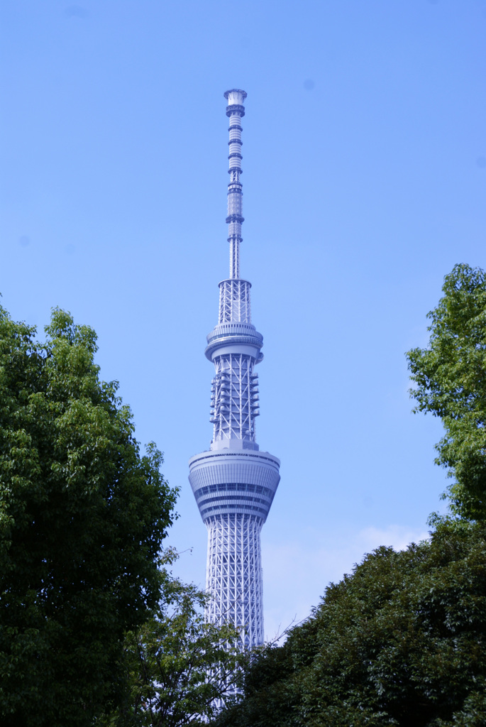 DSC08136