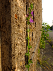 地に足を着け