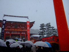 2015 荒天の初詣