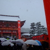 2015 荒天の初詣