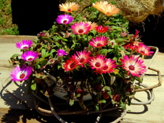 flower pot