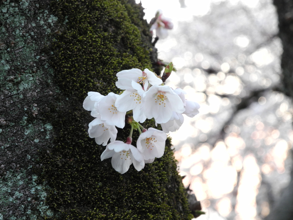 一握