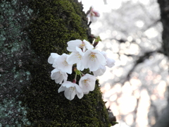 一握