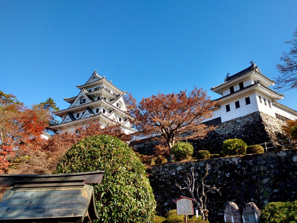 郡上八幡城全景