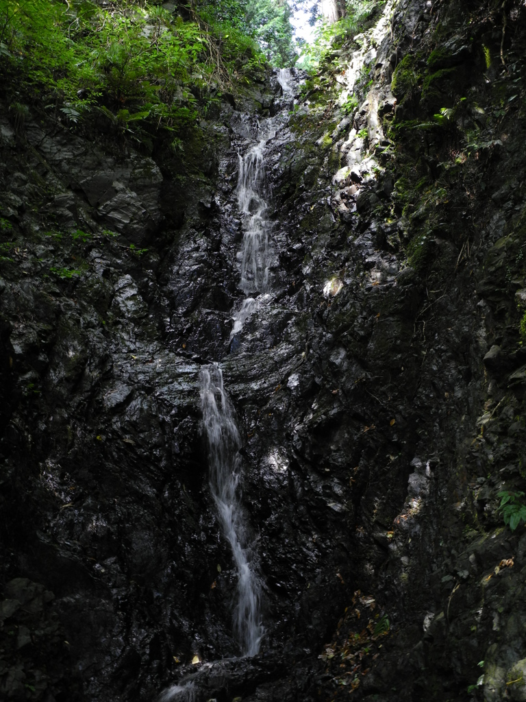 通りすがりの小滝