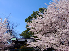 小さな神社と①