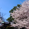 小さな神社と①