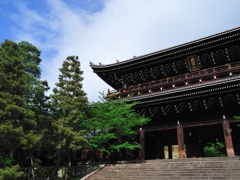 荘厳緑日