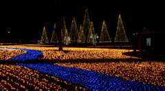 Light River