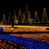 Light River