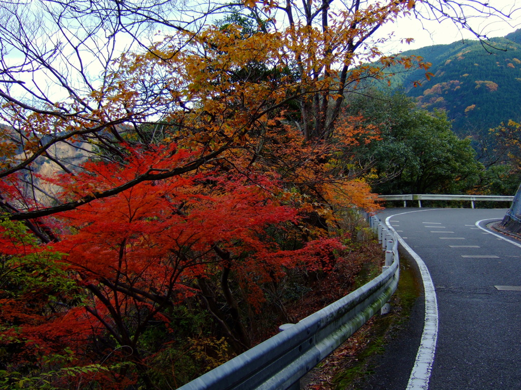 目を惹かれる