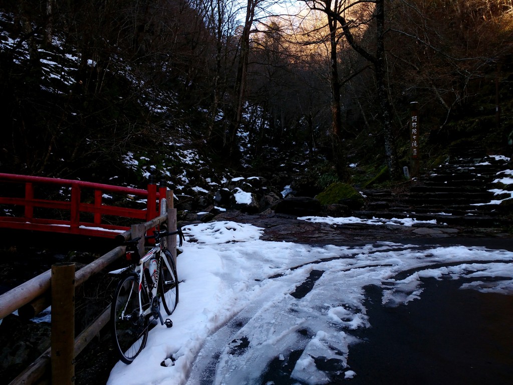 チャリで来た