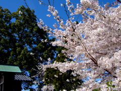 小さな神社と②