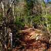 登山道入り口