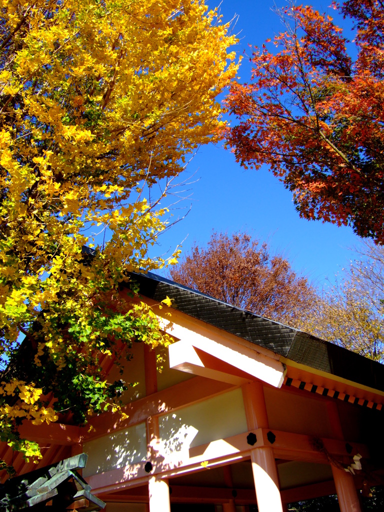 小さな神明社