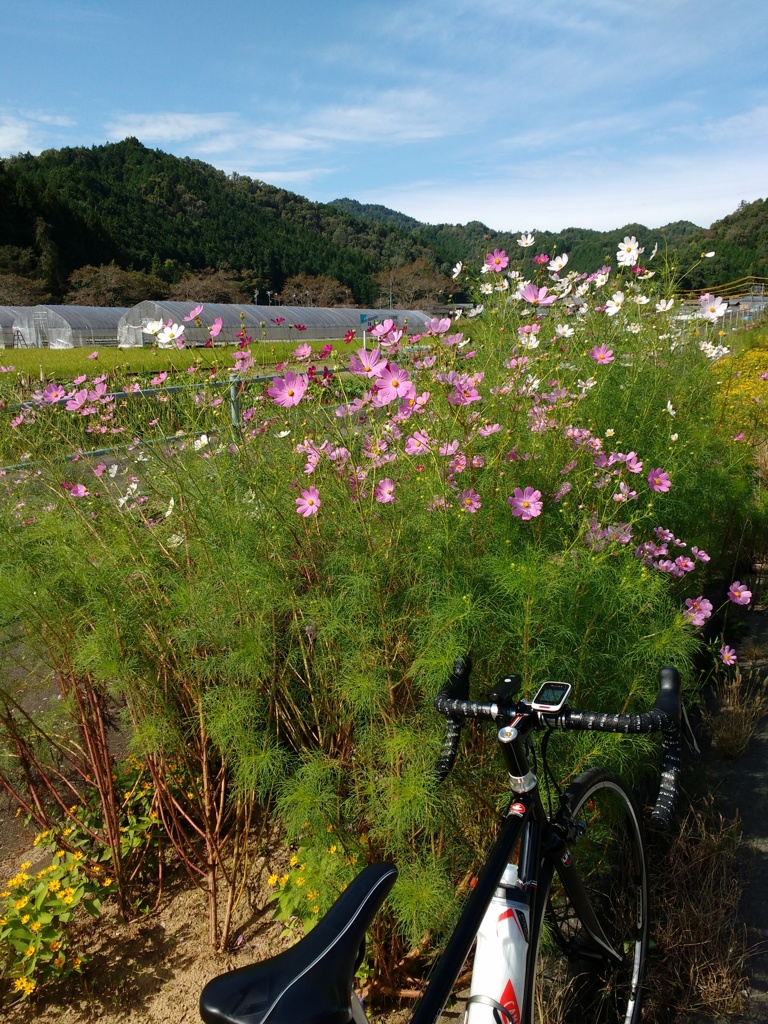 秋、体感