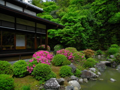 亀も望む春庭