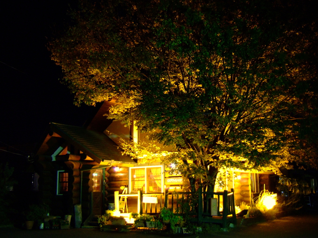Lighting of the Log Village