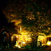 Lighting of the Log Village