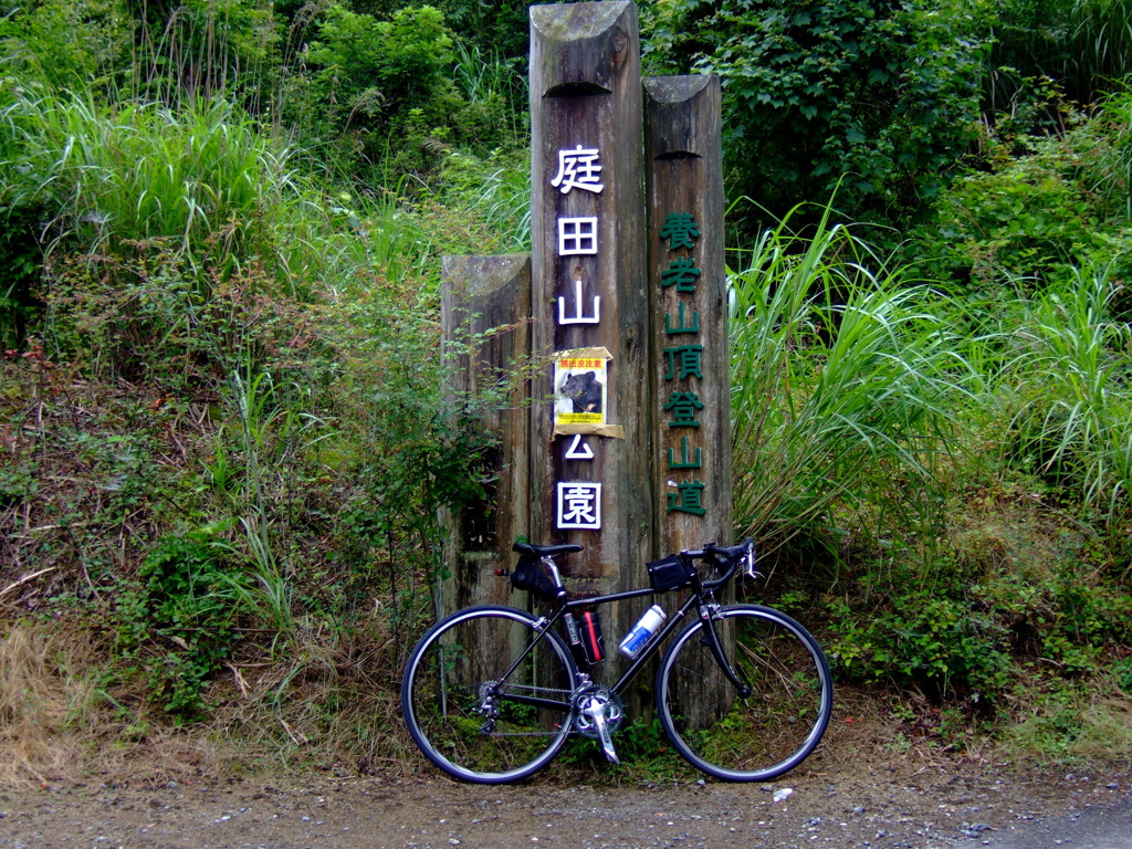 熊注意