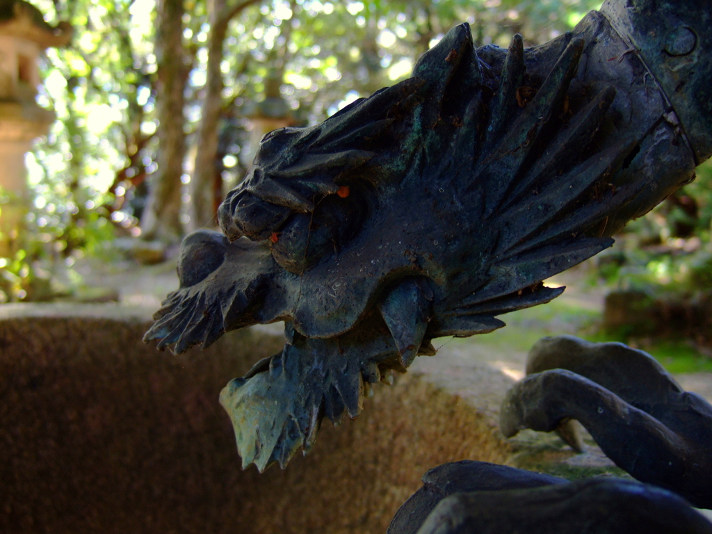 Dragon Head