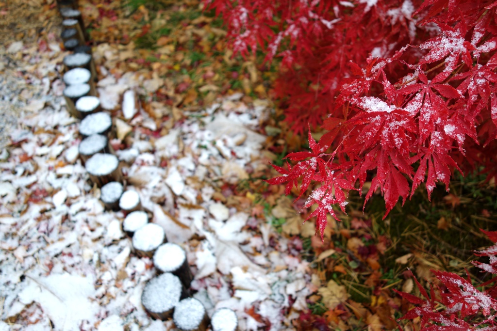 雪の小道