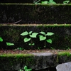 石段のふたり