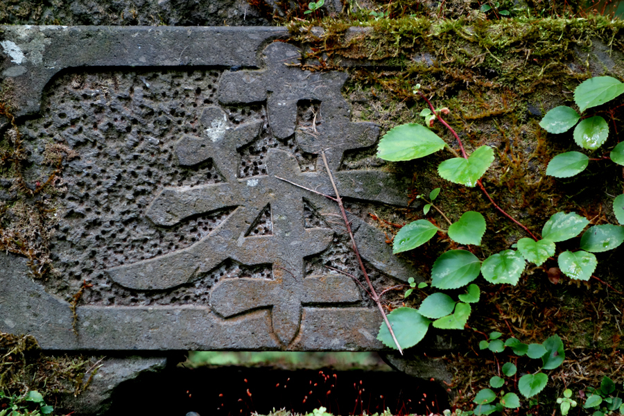 奉