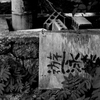 遊泳禁止
