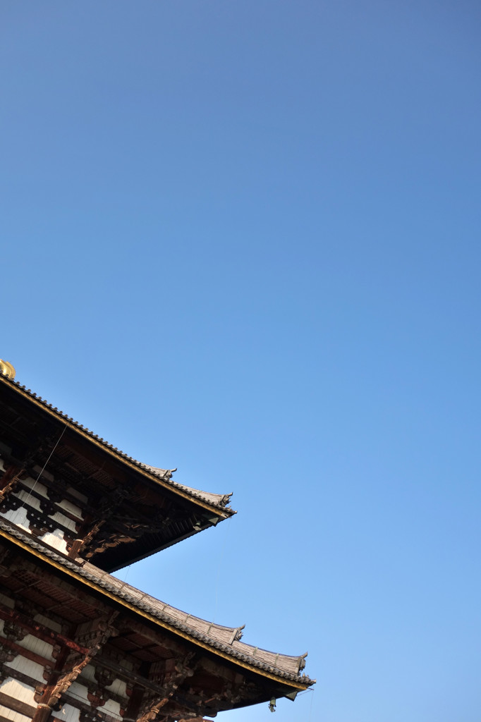 大仏殿