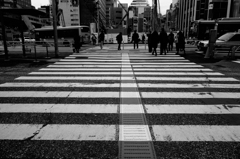 南口の横断歩道