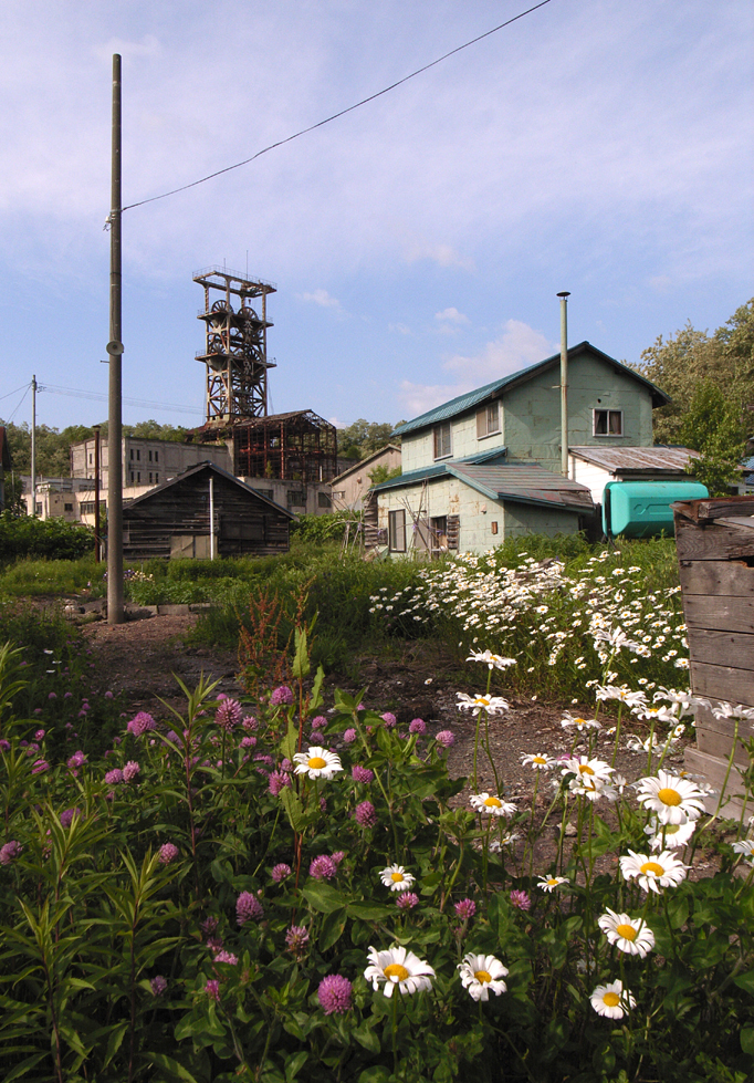 立坑やぐらと道端の花