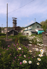 立坑やぐらと道端の花