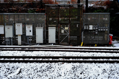 東京の雪