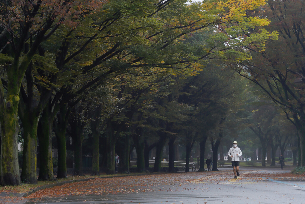 駒沢公園