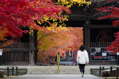 九品仏淨眞寺 山門