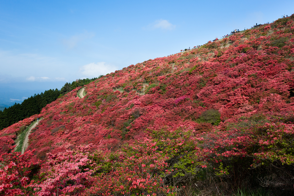 赤い山