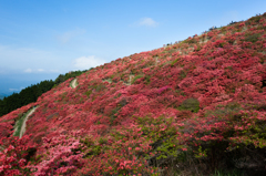 赤い山