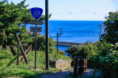 ROUTE 339