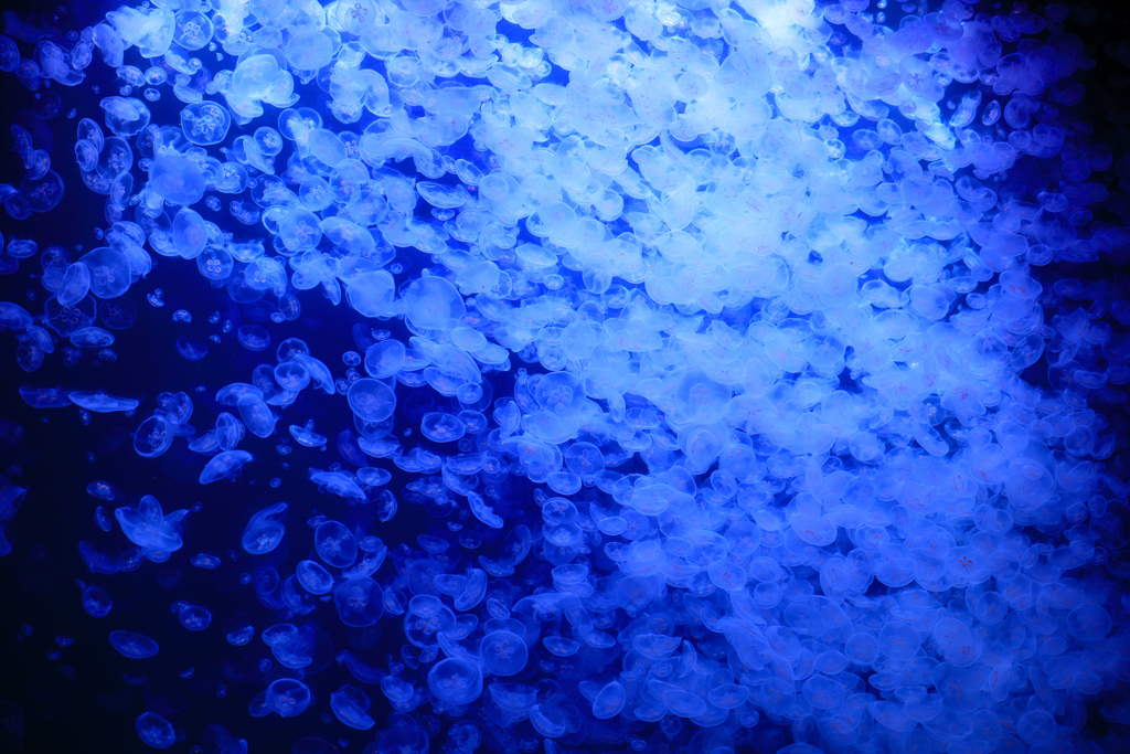 クラネタリウム