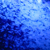 クラネタリウム