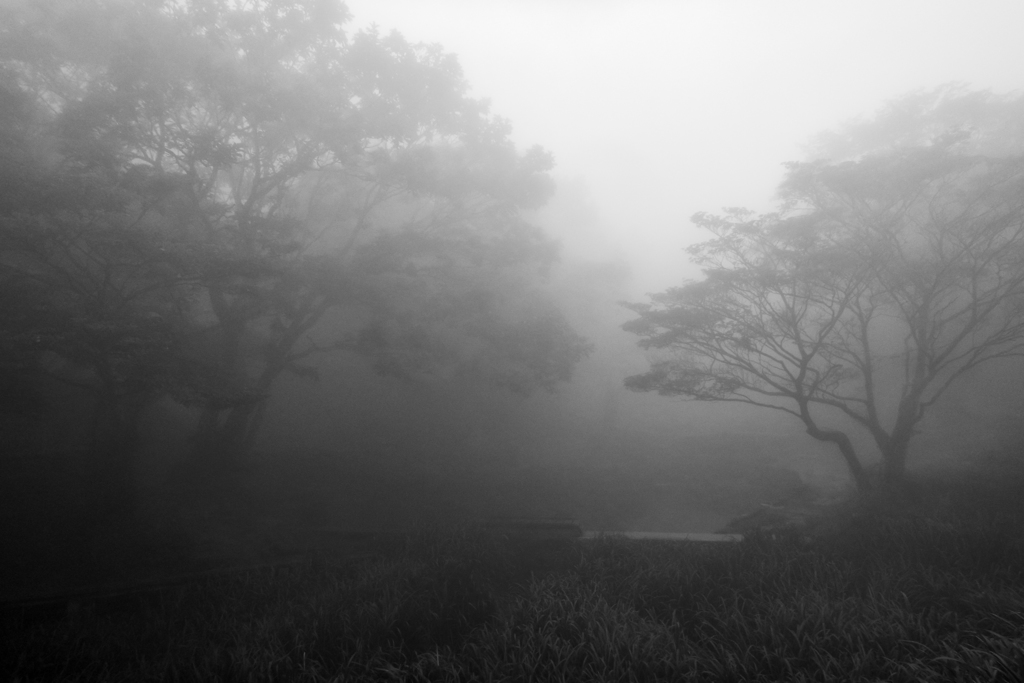 霧雨