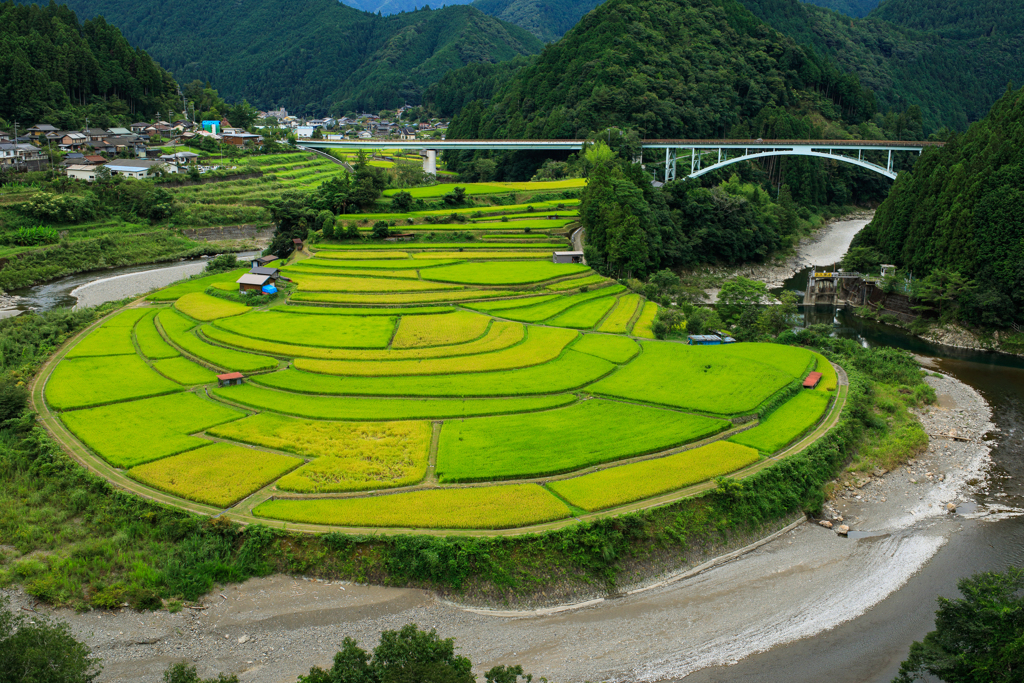 あらぎ島