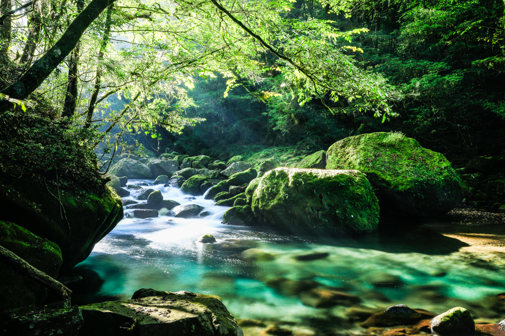 Green landscape