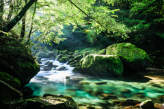 Green landscape