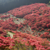 燃える葛城山
