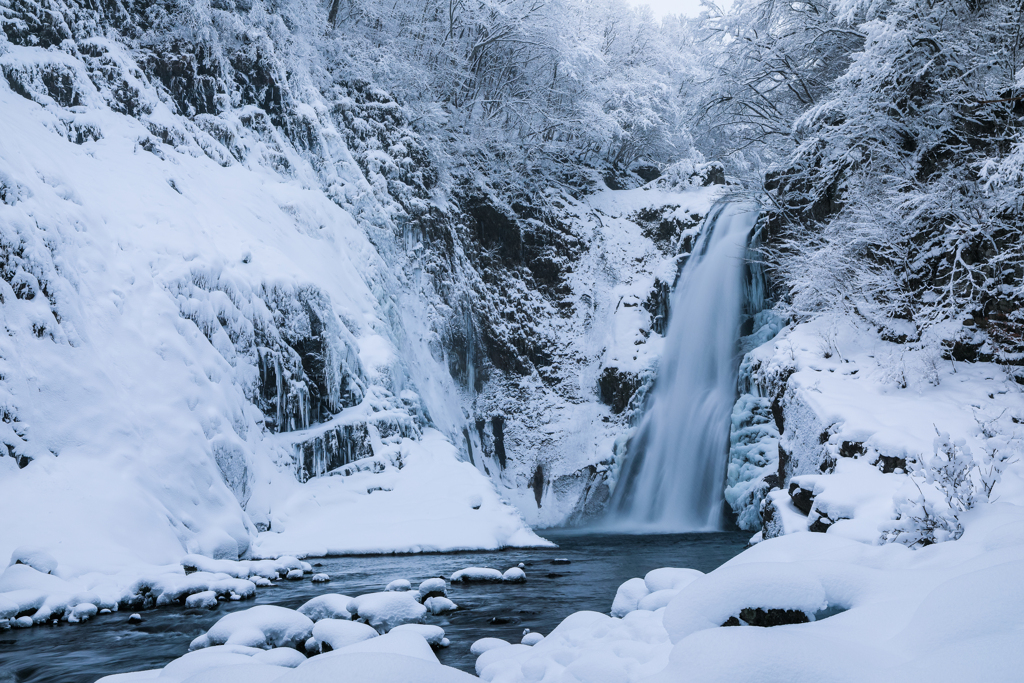 雪纏う