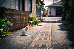 何？