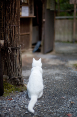 誰かを待つ