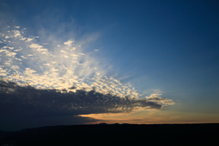 ラストショット